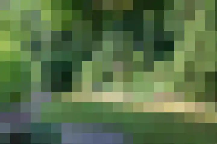 Krachtighuizerweg 29 D Putten thumbnail 66