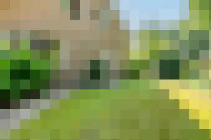 Krachtighuizerweg 29 D Putten thumbnail 67