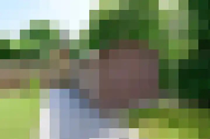 Krachtighuizerweg 29 E Putten thumbnail 22