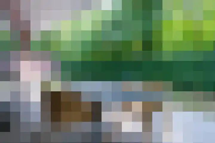 Krachtighuizerweg 29 E Putten thumbnail 6