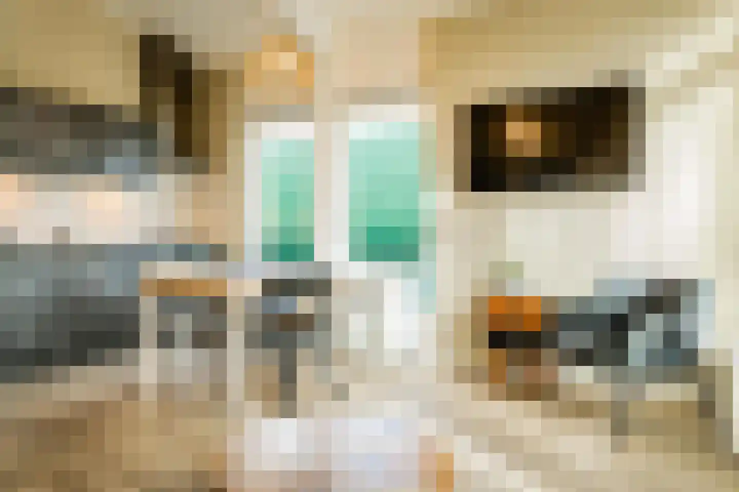 Krachtighuizerweg 30 C Putten thumbnail 4