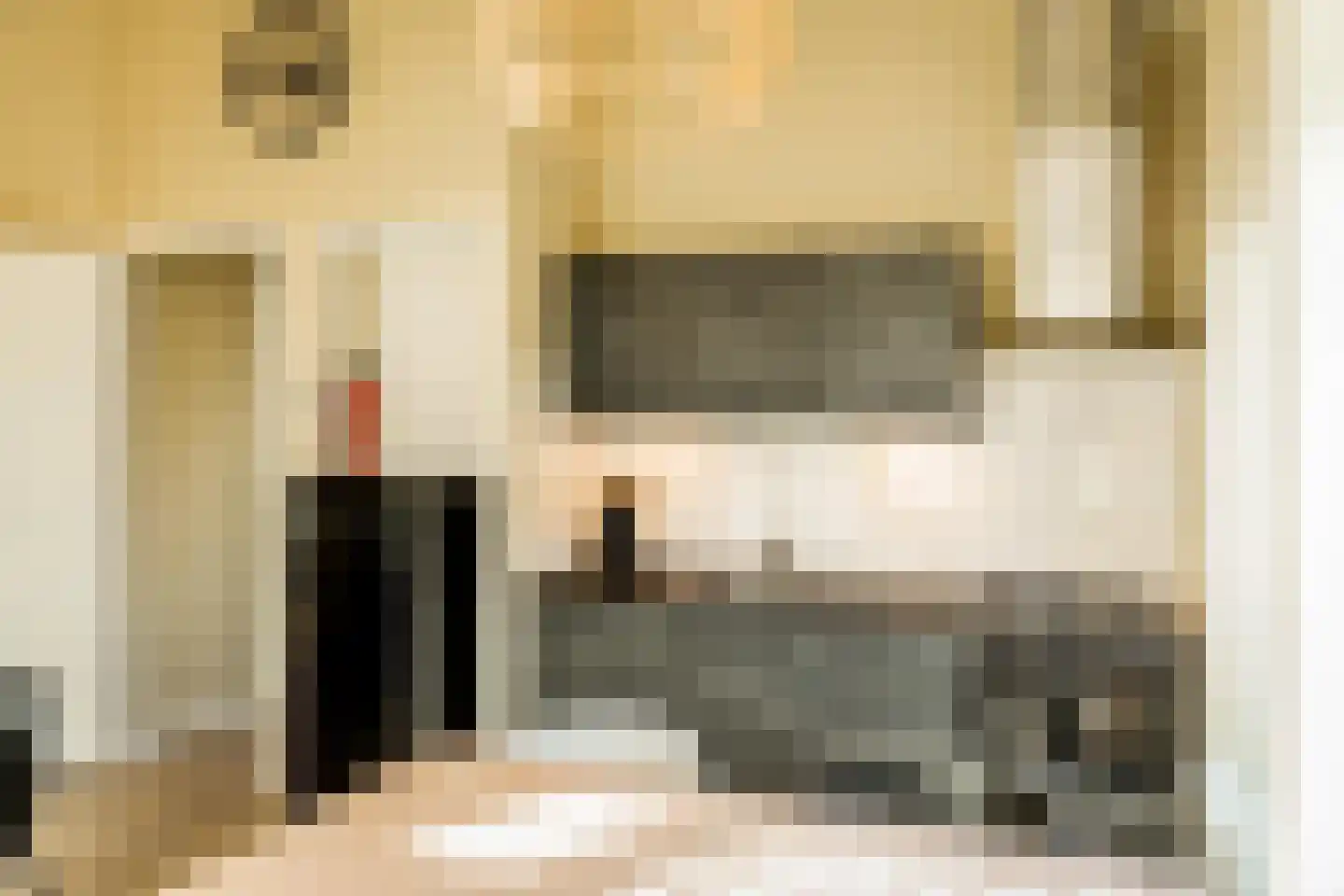 Krachtighuizerweg 30 C Putten thumbnail 5