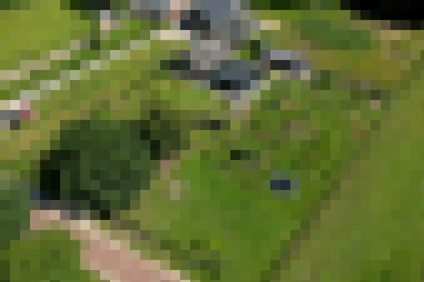 Krachtighuizerweg 35 B Putten thumbnail 71