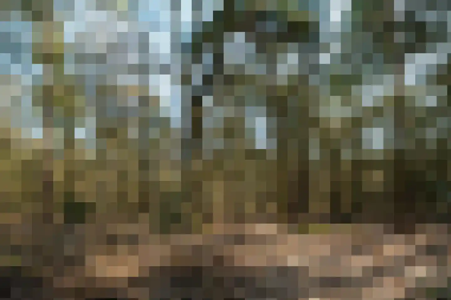 Krachtighuizerweg 35 B Putten thumbnail 77