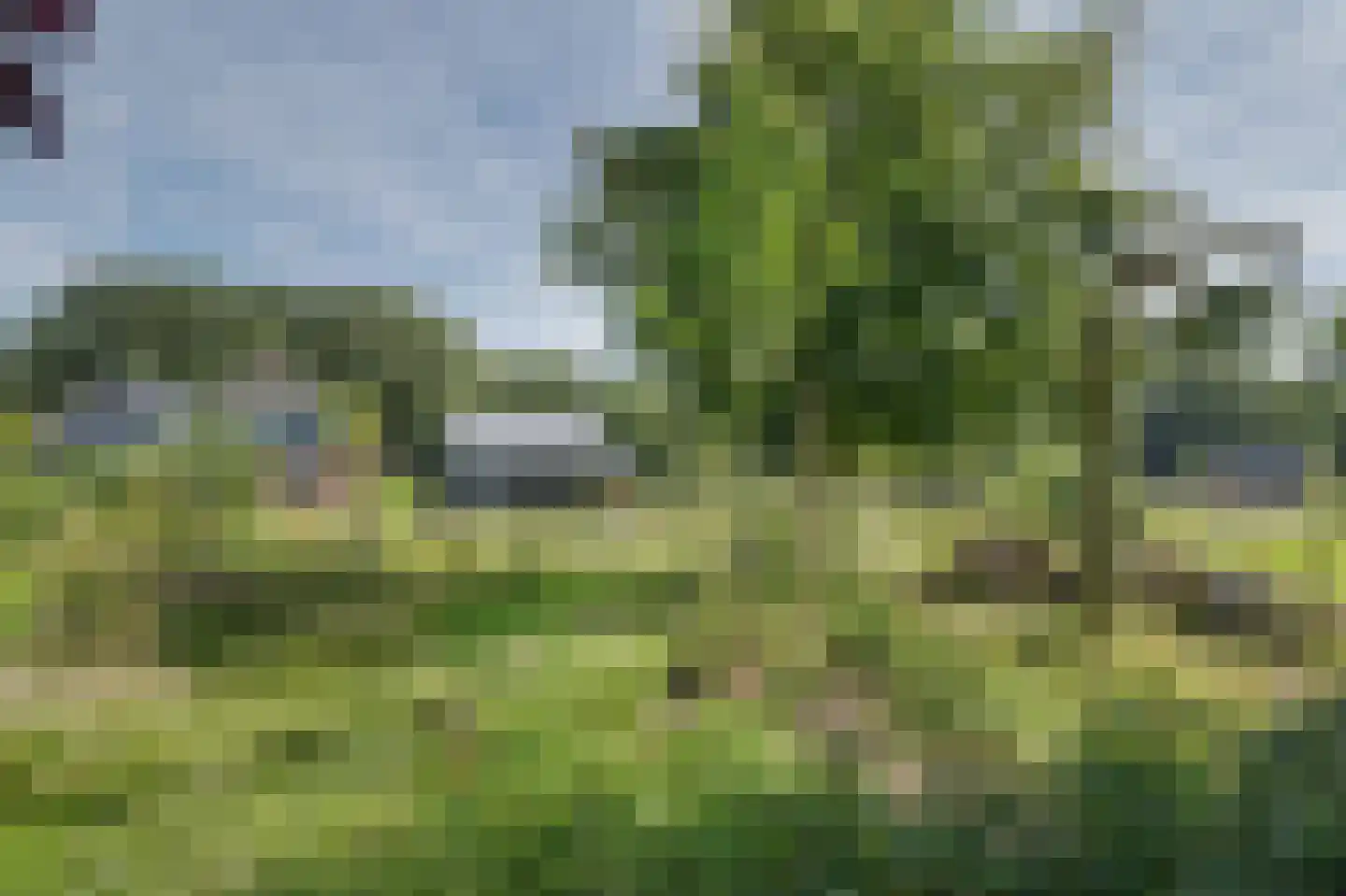Krachtighuizerweg 35 B Putten thumbnail 78