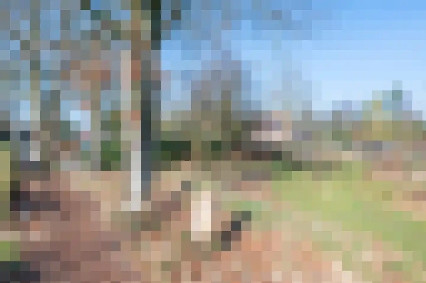 Krachtighuizerweg 35 B Putten thumbnail 79