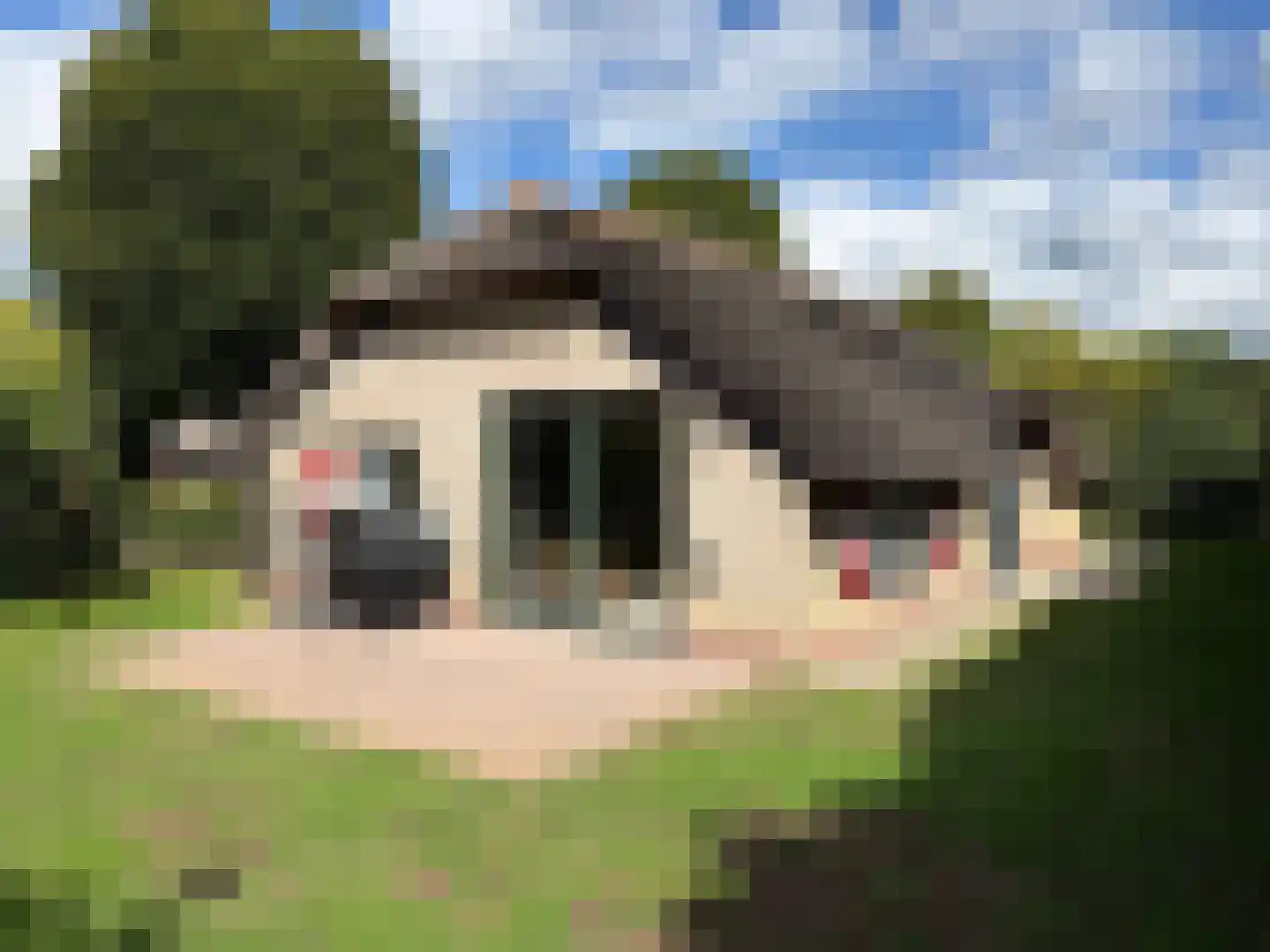 Krachtighuizerweg 38 199 Putten thumbnail 45