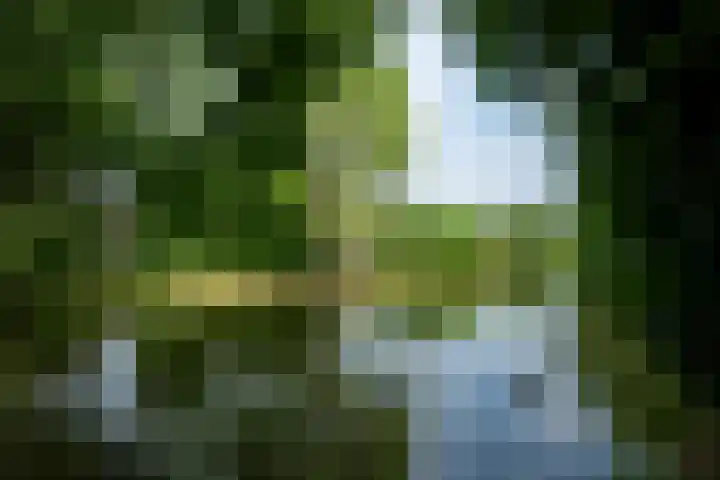 Krachtighuizerweg 38 205 Putten thumbnail 22