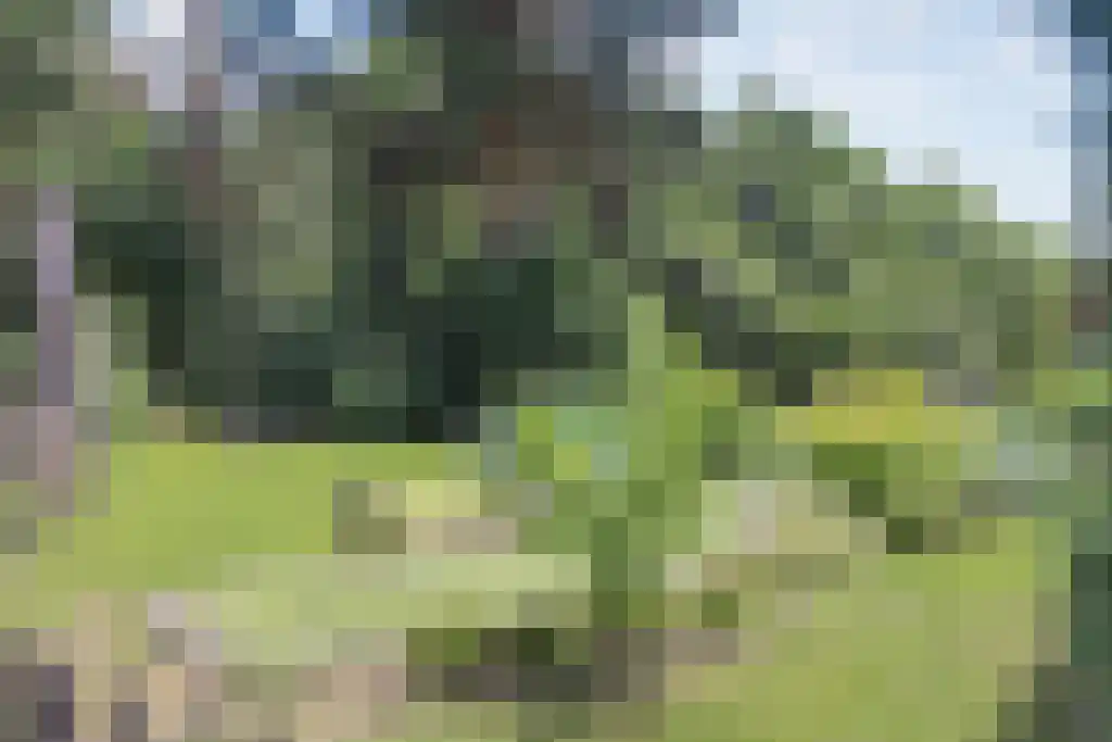 Krachtighuizerweg 38 217 Putten thumbnail 21