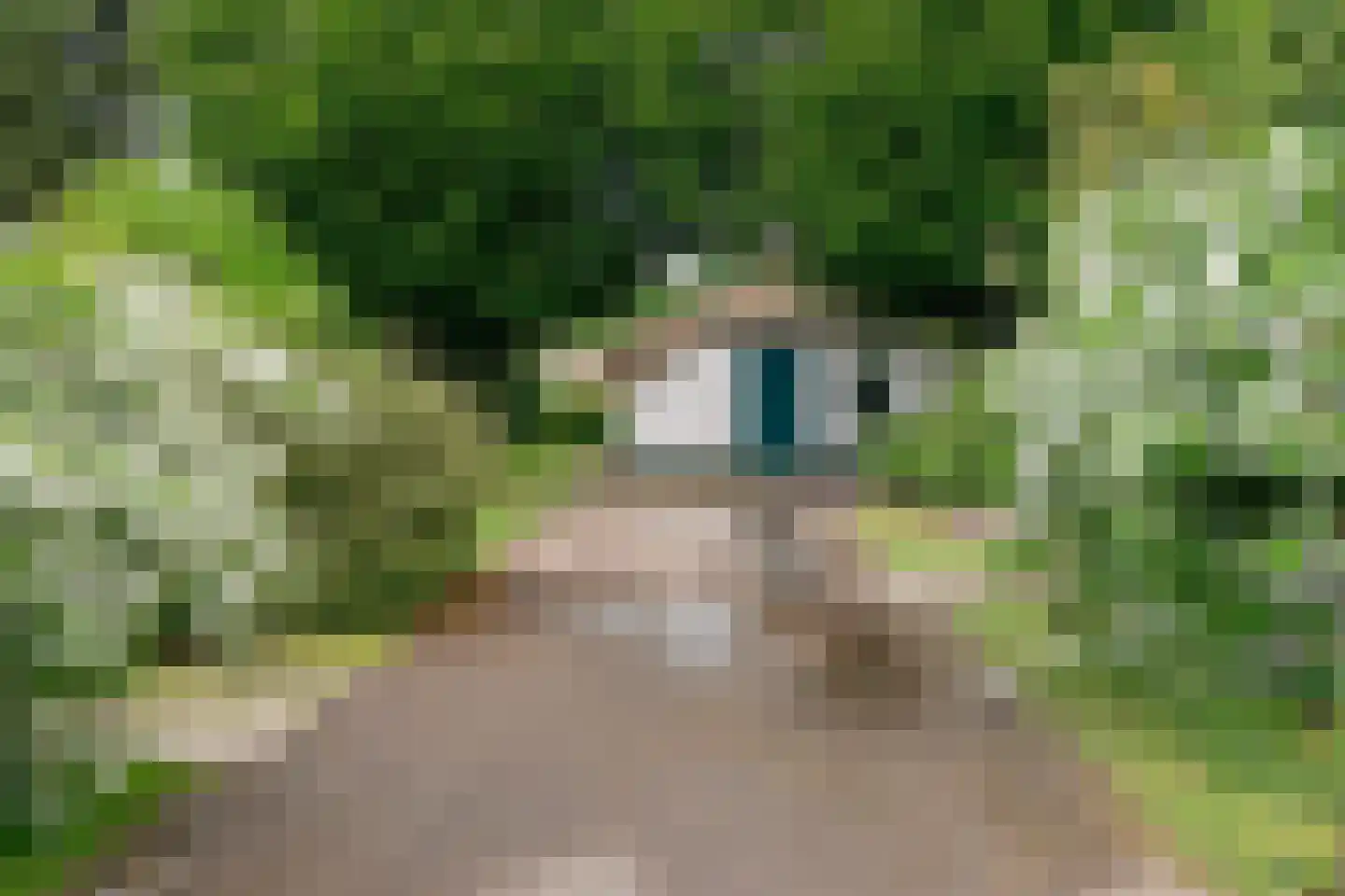 Krachtighuizerweg 38 221 Putten thumbnail 34