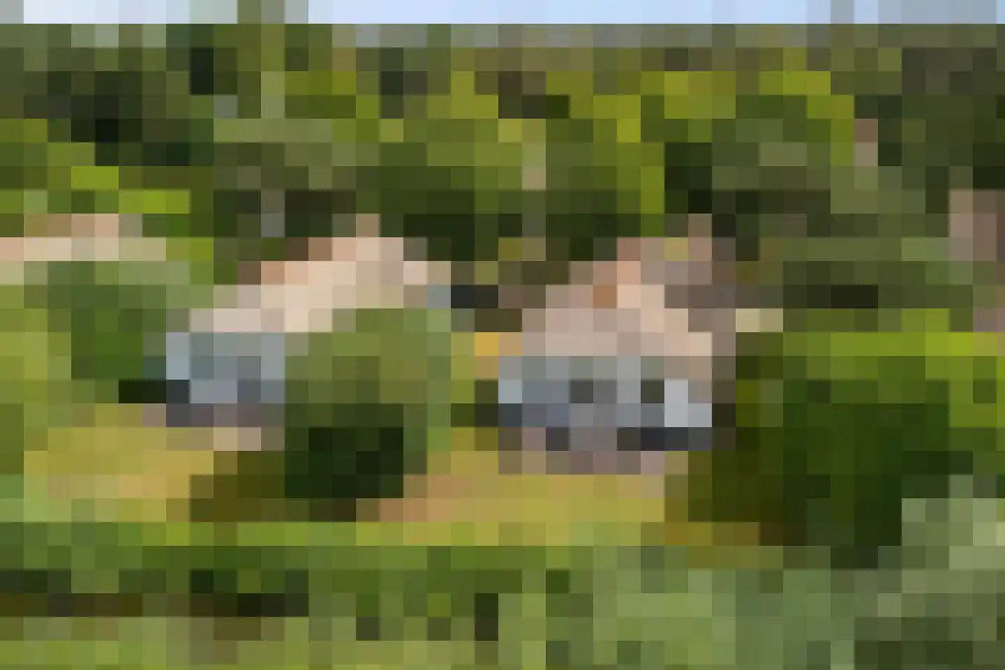 Krachtighuizerweg 38 221 Putten thumbnail 4