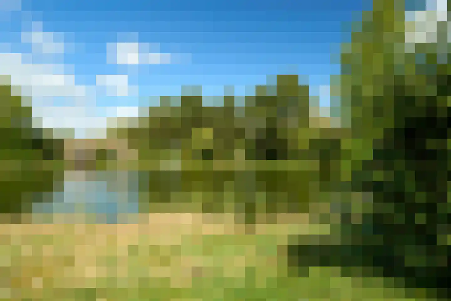 Krachtighuizerweg 38 230 Putten thumbnail 7