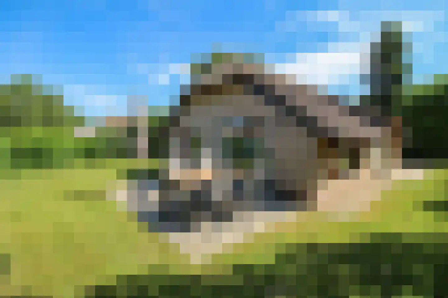 Krachtighuizerweg 38 240 Putten thumbnail 28