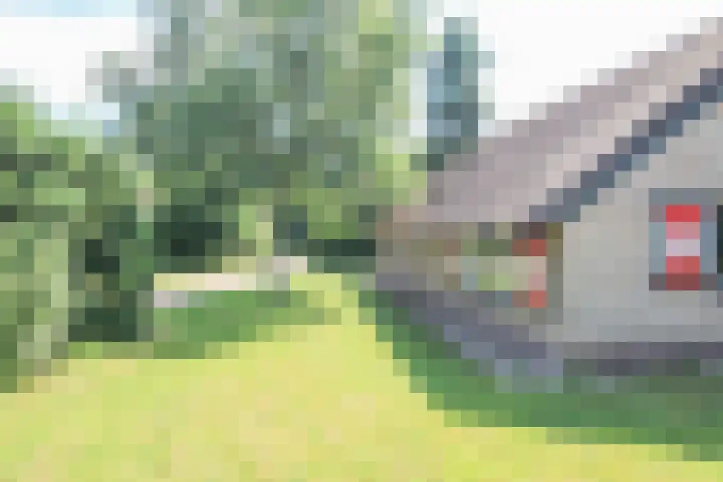 Krachtighuizerweg 38 240 Putten thumbnail 31