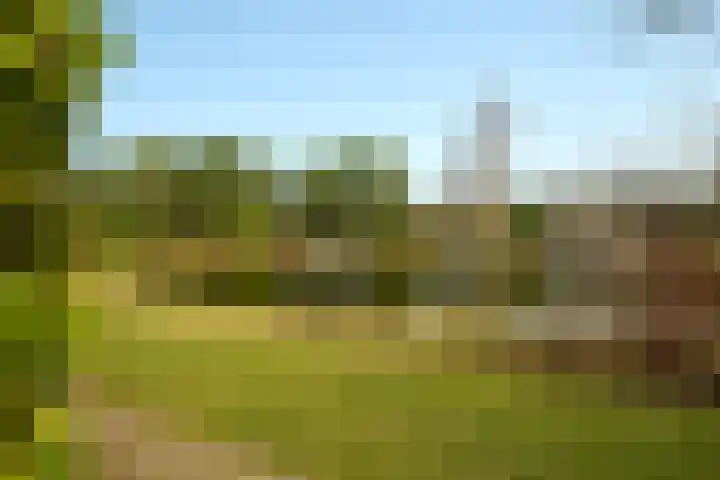 Krachtighuizerweg 38 34 Putten thumbnail 24