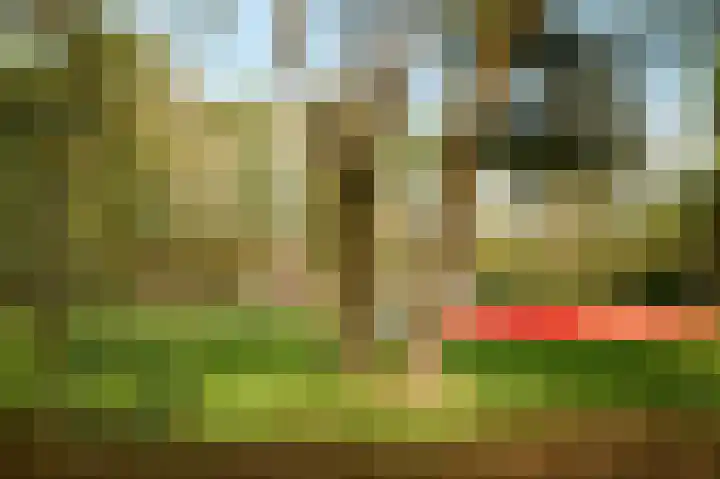 Krachtighuizerweg 38 34 Putten thumbnail 32