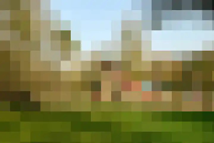 Krachtighuizerweg 38 34 Putten thumbnail 33