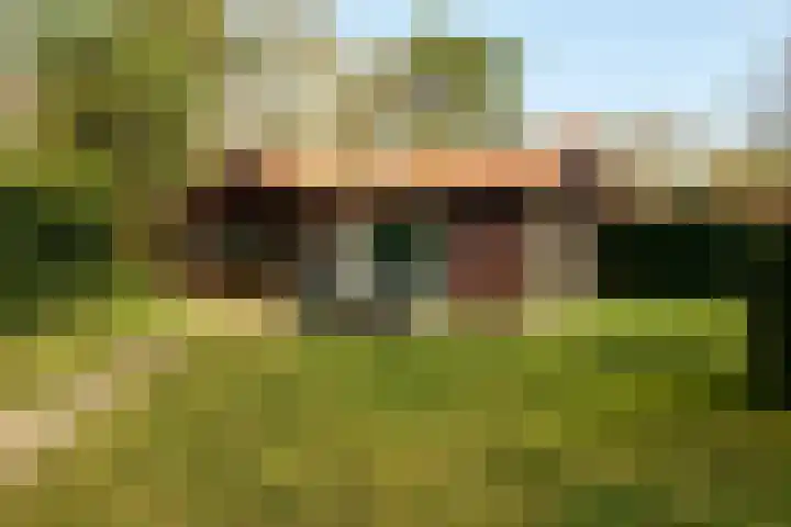 Krachtighuizerweg 38 34 Putten thumbnail 5