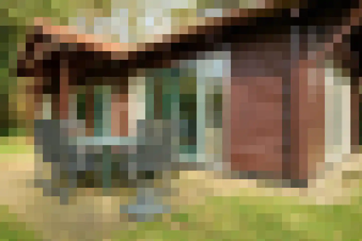 Krachtighuizerweg 38 34 Putten thumbnail 6