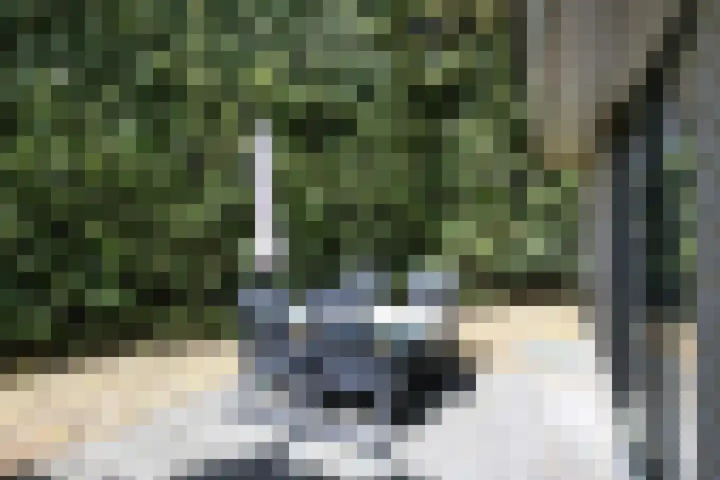 Krachtighuizerweg 38 64 Putten thumbnail 25
