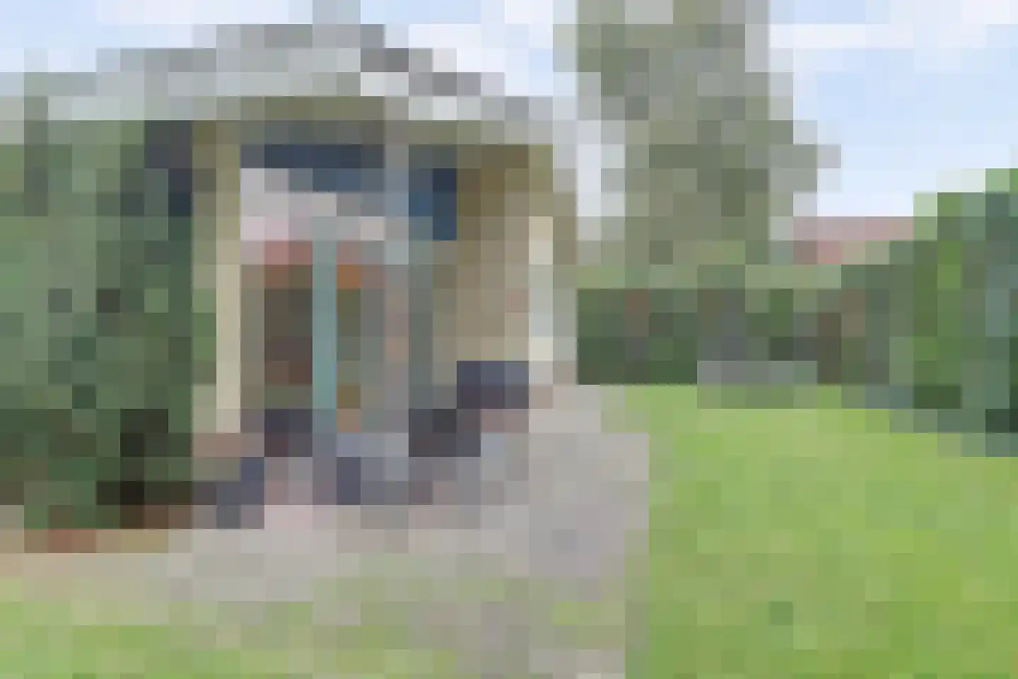 Krachtighuizerweg 42 21 Putten thumbnail 20