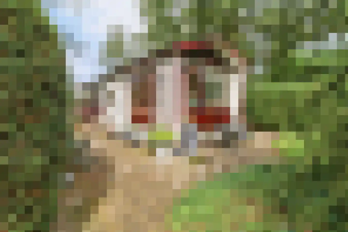 Krachtighuizerweg 46 48 Putten thumbnail 24