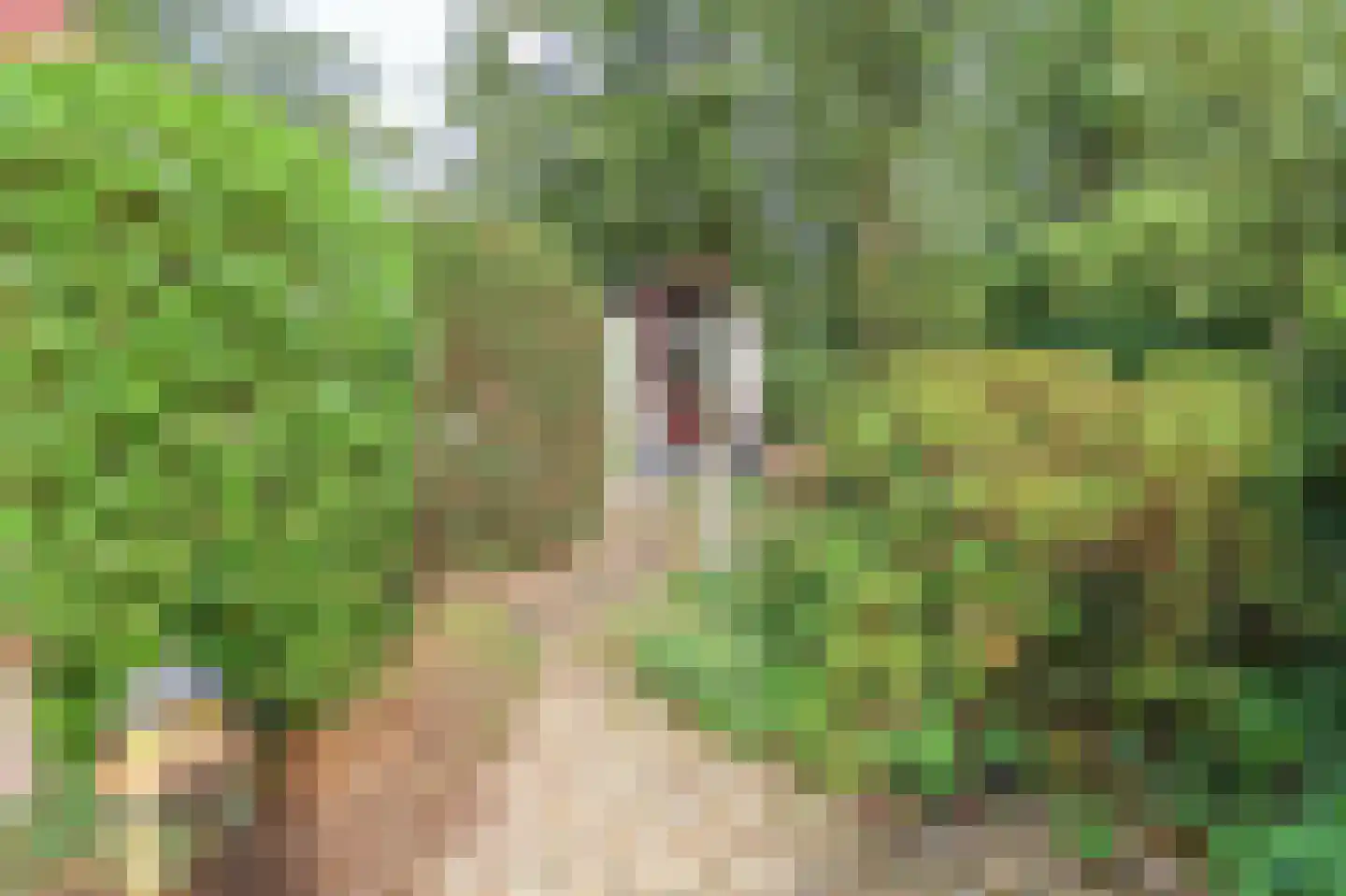 Krachtighuizerweg 46 48 Putten thumbnail 30