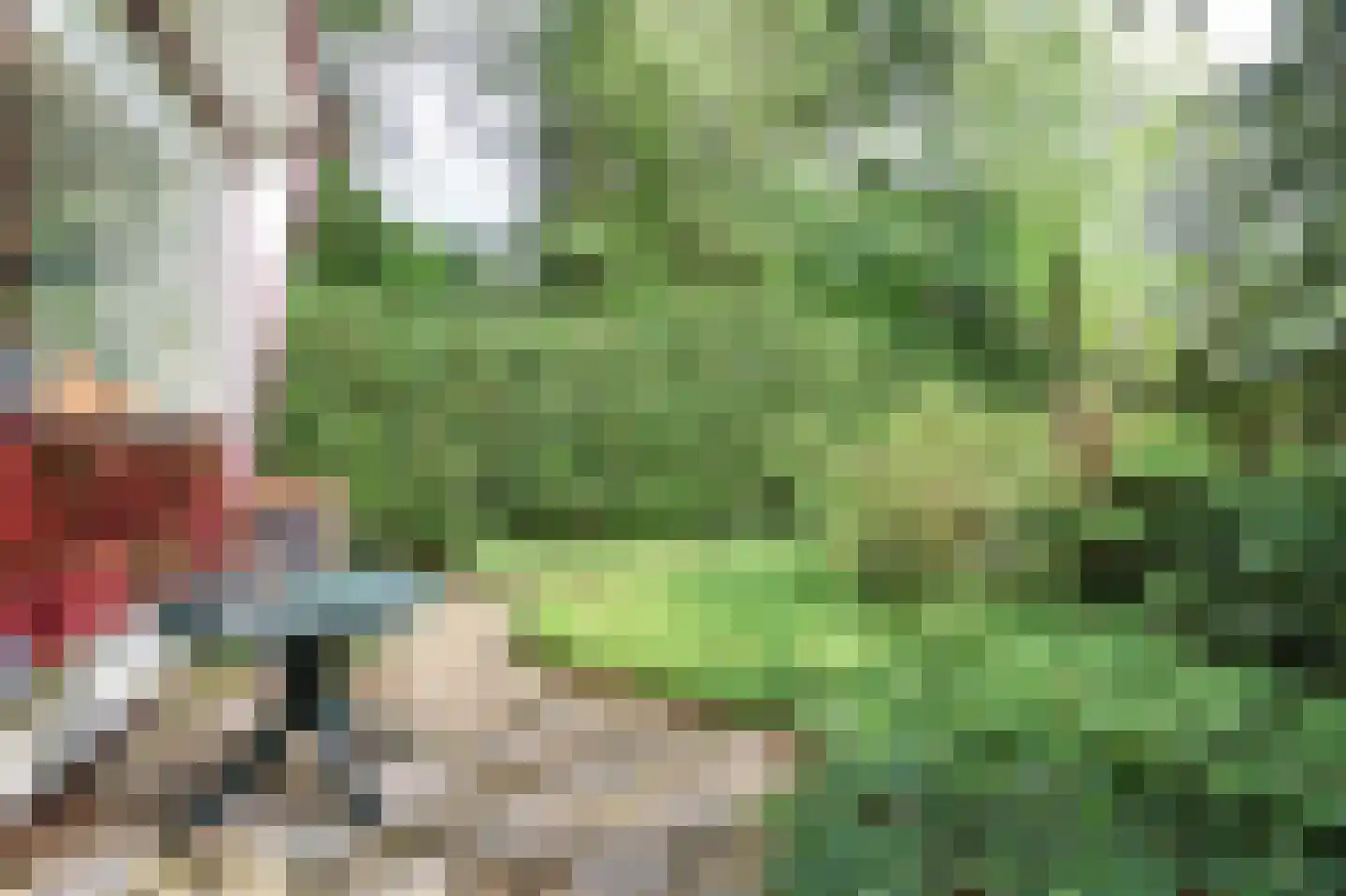 Krachtighuizerweg 46 48 Putten thumbnail 31
