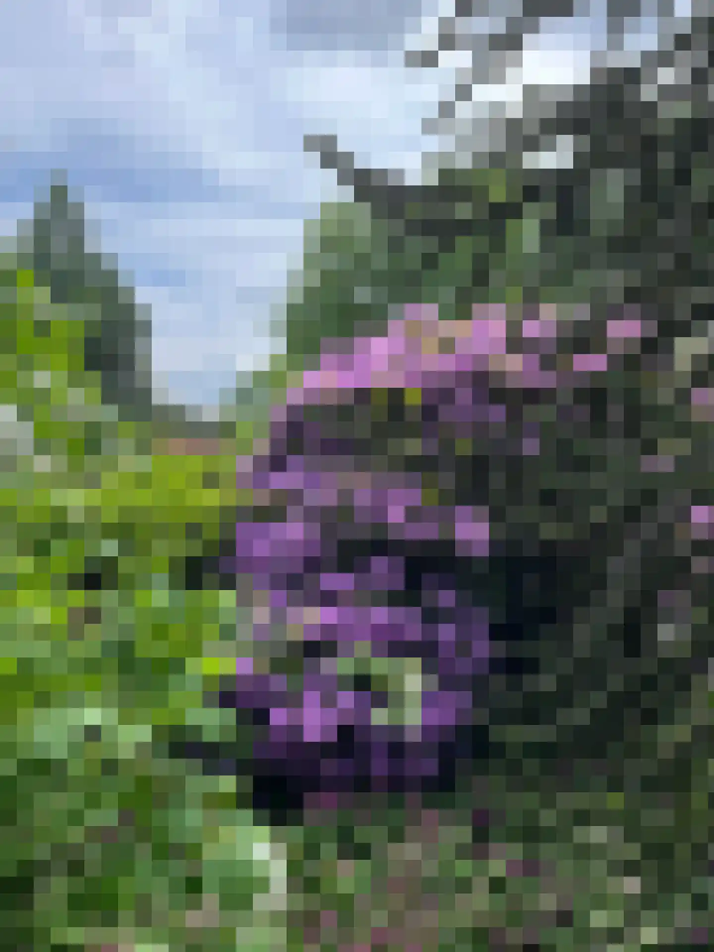 Krachtighuizerweg 46 48 Putten thumbnail 34