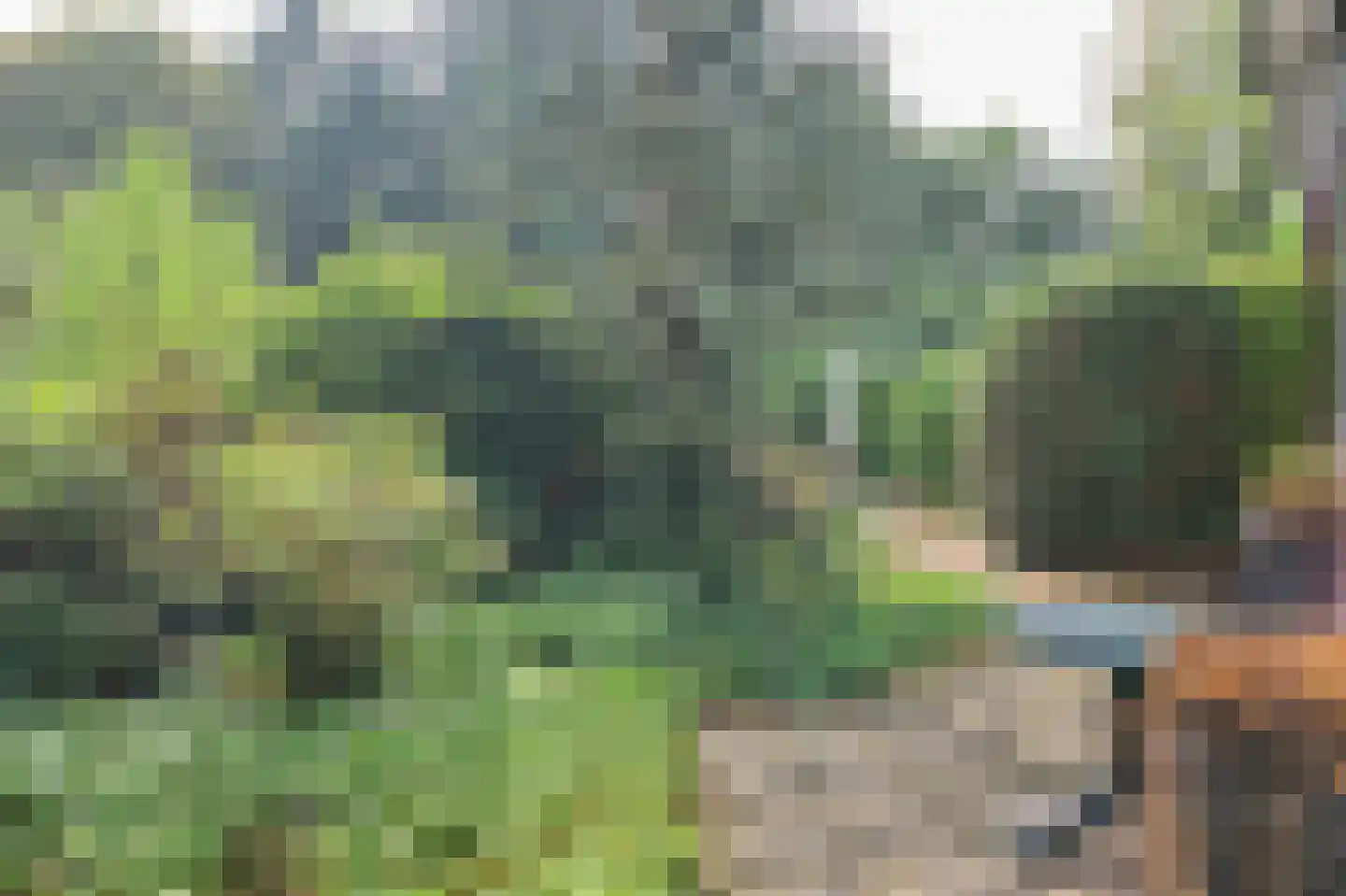 Krachtighuizerweg 46 48 Putten thumbnail 35