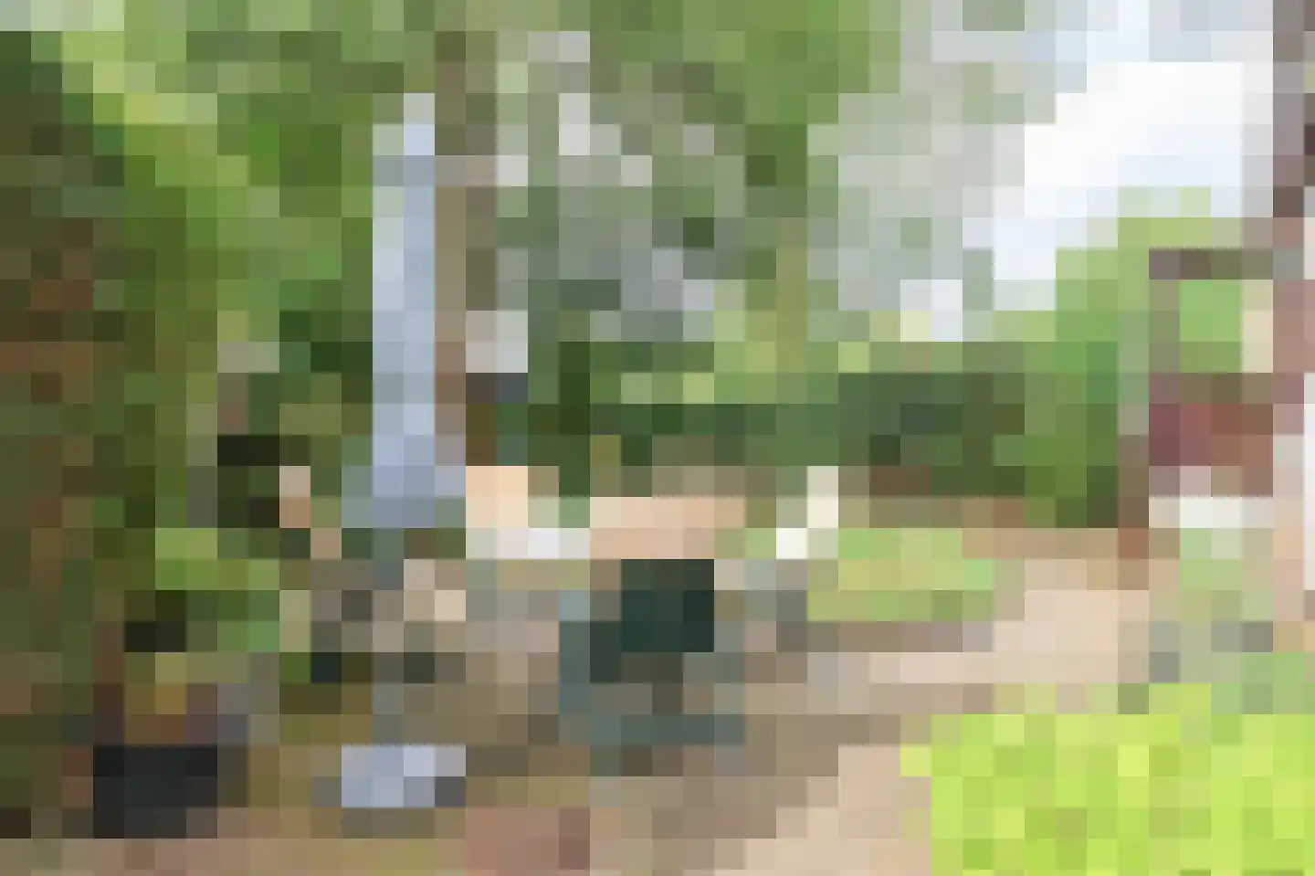 Krachtighuizerweg 46 48 Putten thumbnail 36
