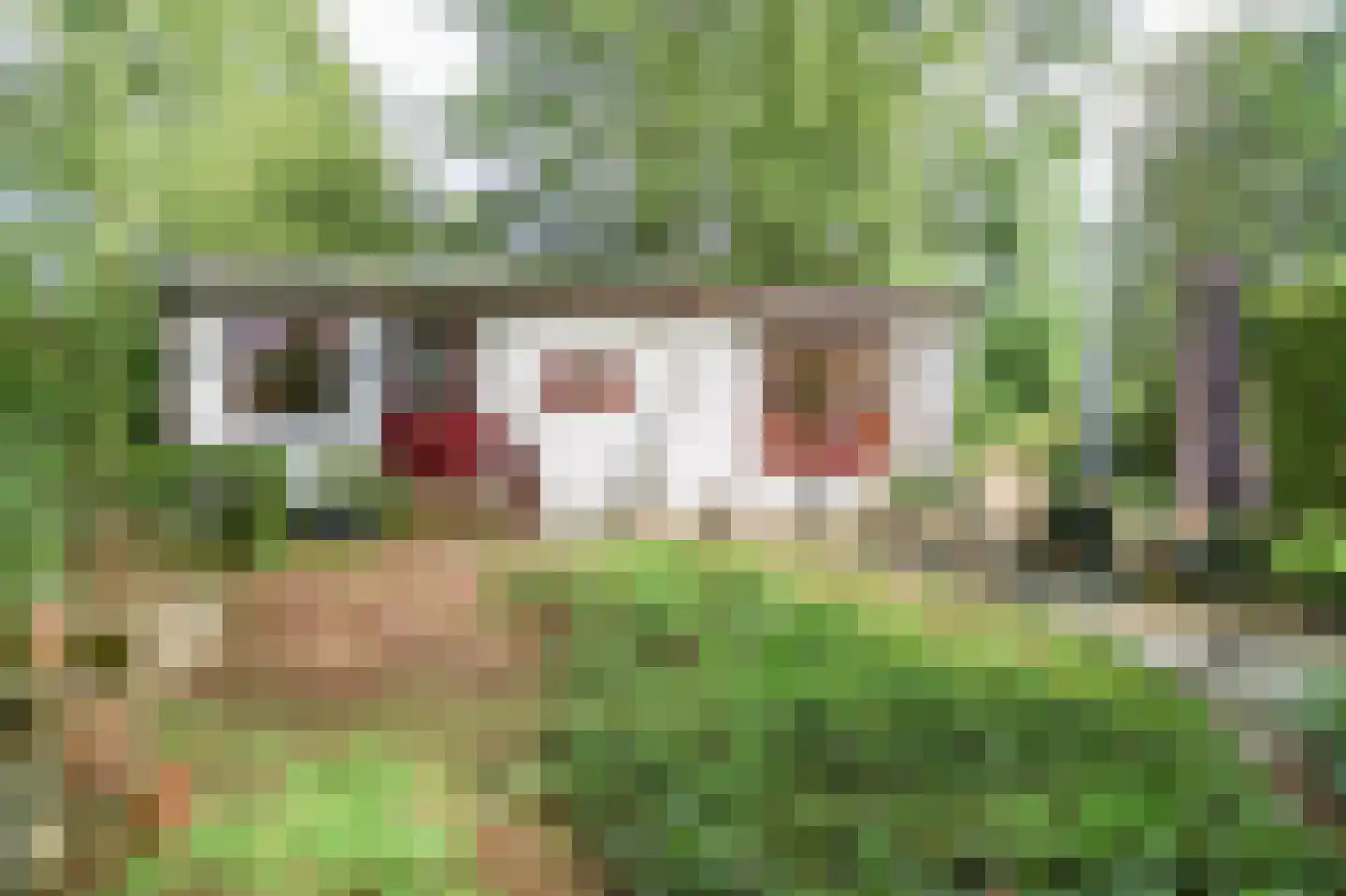 Krachtighuizerweg 46 48 Putten thumbnail 37