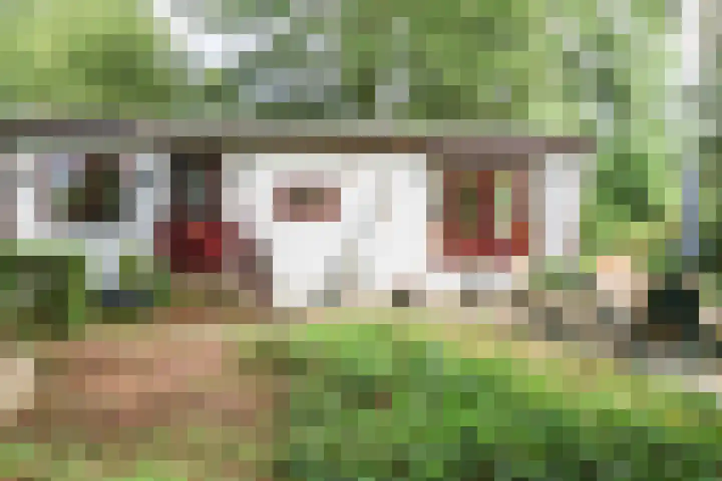 Krachtighuizerweg 46 48 Putten thumbnail 38