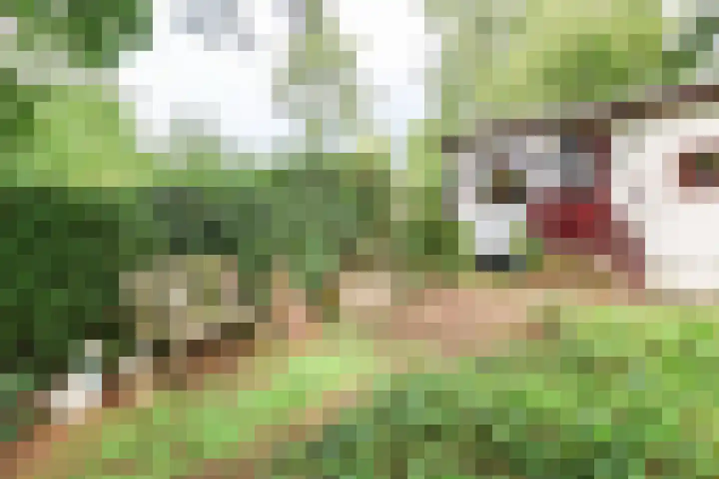Krachtighuizerweg 46 48 Putten thumbnail 39