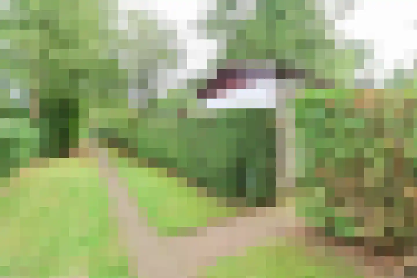 Krachtighuizerweg 46 48 Putten thumbnail 43