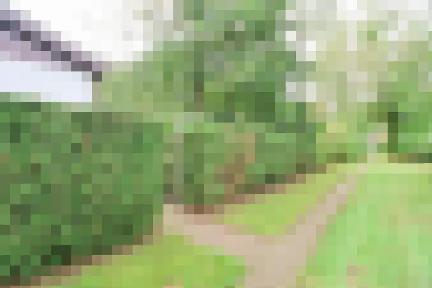 Krachtighuizerweg 46 48 Putten thumbnail 44
