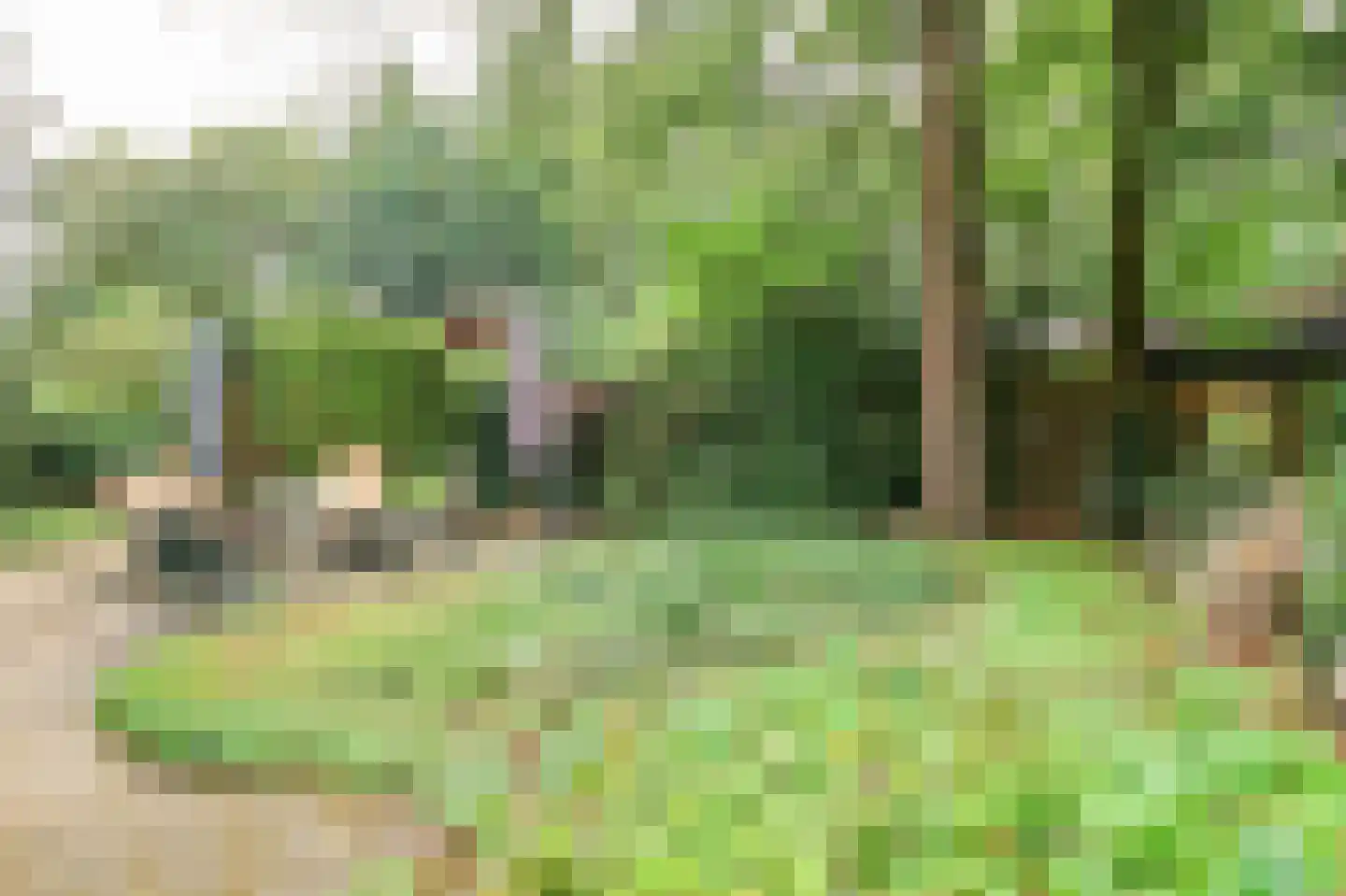 Krachtighuizerweg 46 48 Putten thumbnail 46