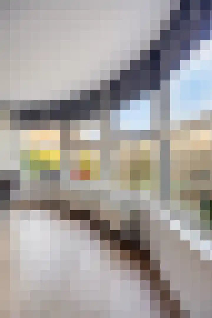 Krachtveld 14 Almere thumbnail 13