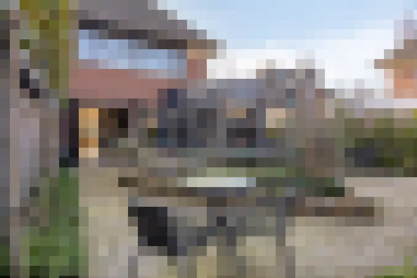 Krachtveld 14 Almere thumbnail 55