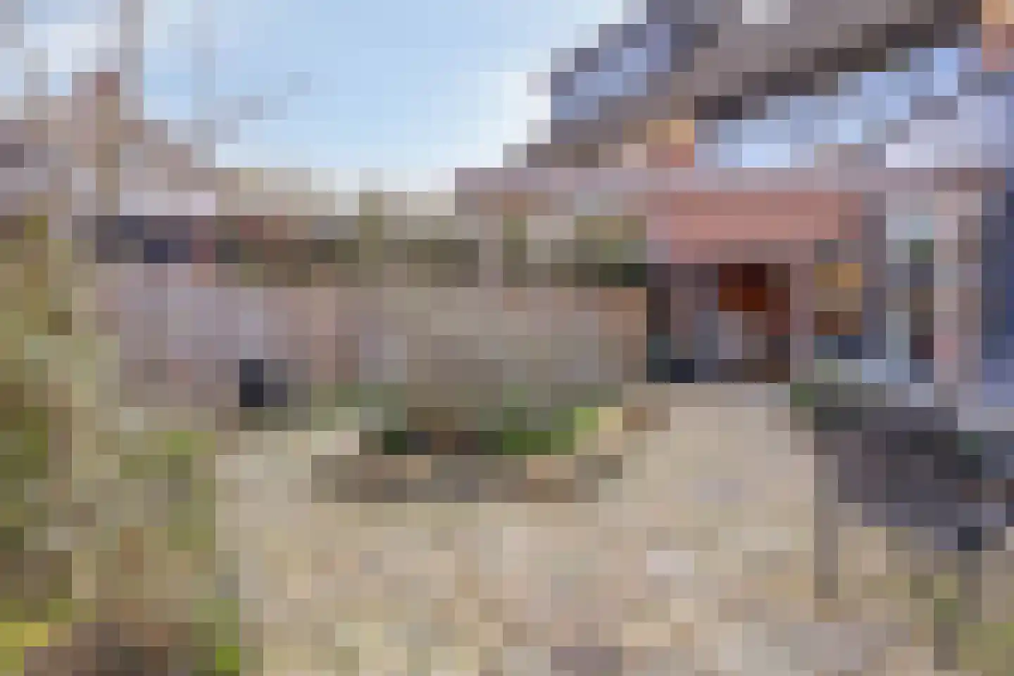 Krachtveld 14 Almere thumbnail 56