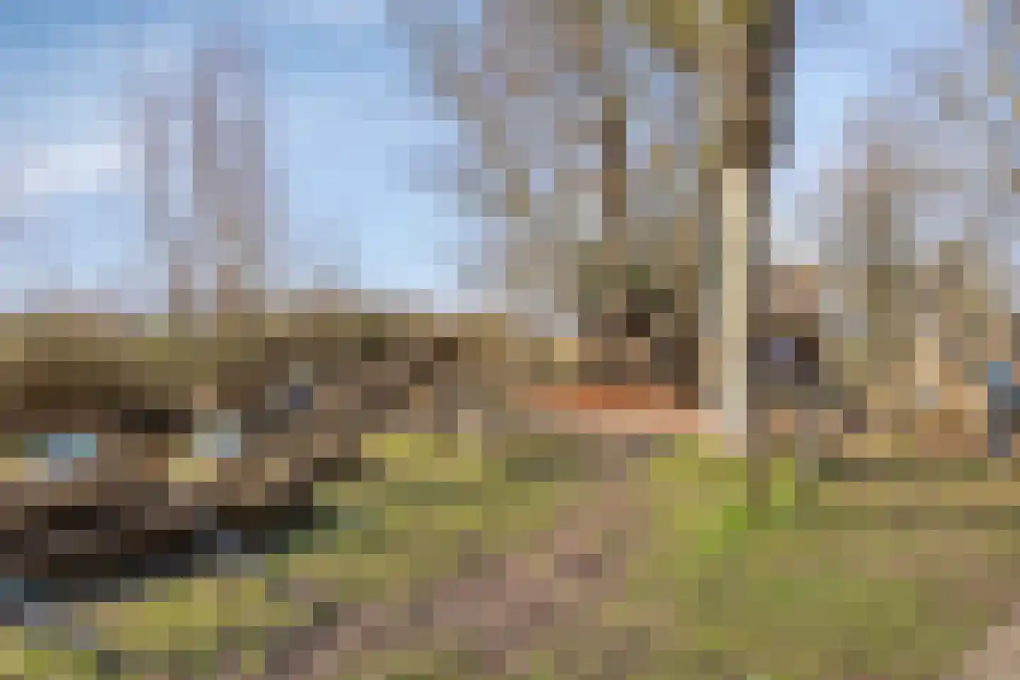 Krachtveld 14 Almere thumbnail 65