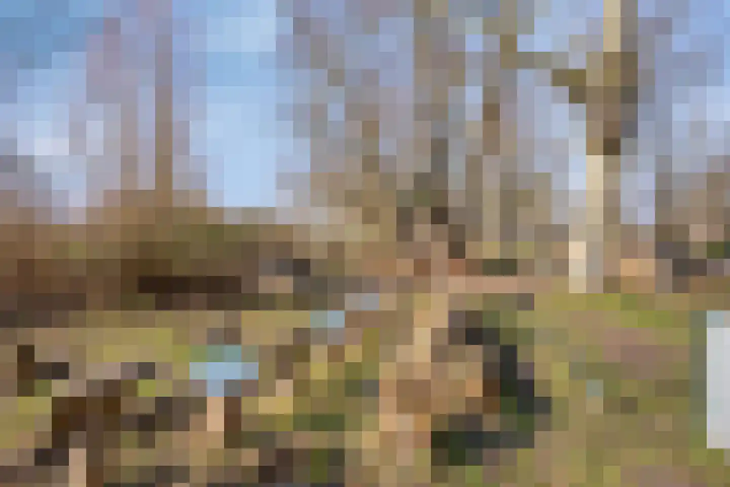 Krachtveld 14 Almere thumbnail 66