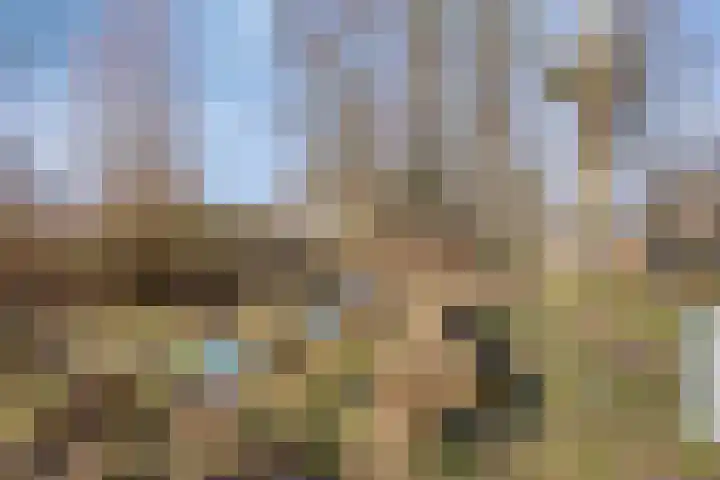 Krachtveld 14 Almere thumbnail 66