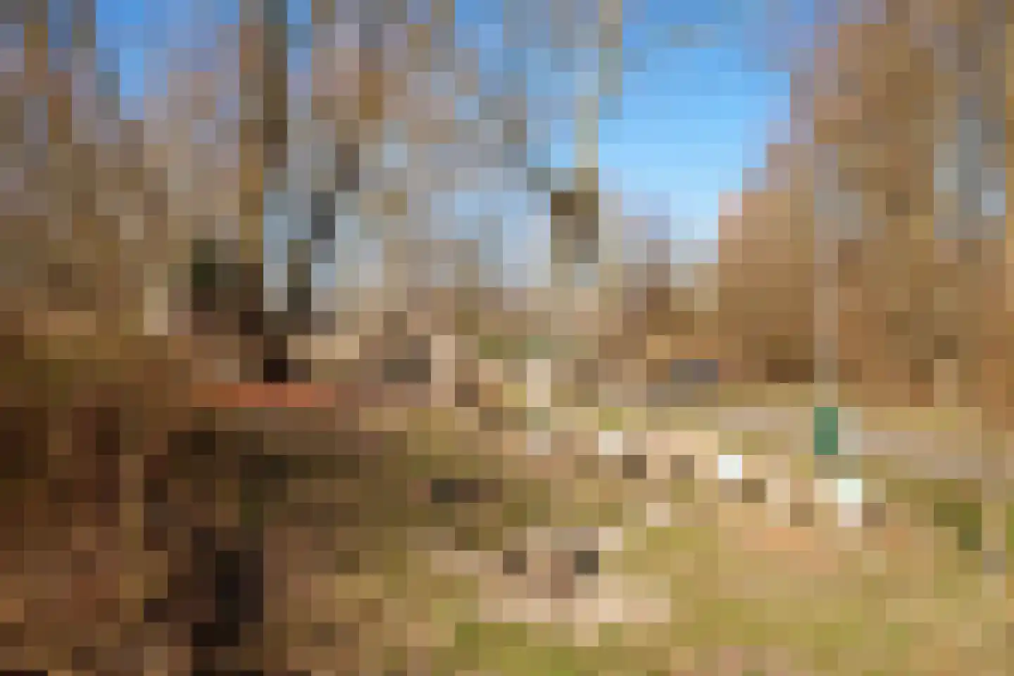 Krachtveld 15 Almere thumbnail 52
