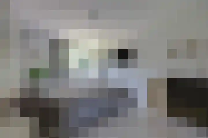 Krachtveld 21 Almere thumbnail 17