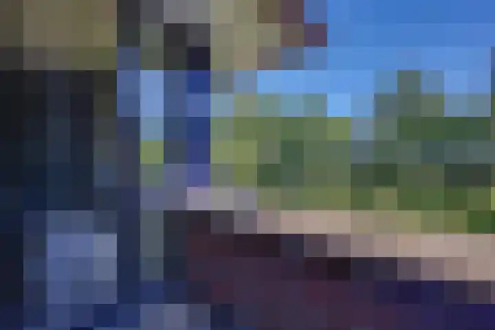 Krachtveld 21 Almere thumbnail 21