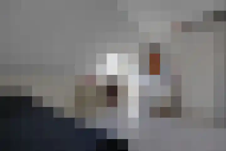 Krachtveld 21 Almere thumbnail 31