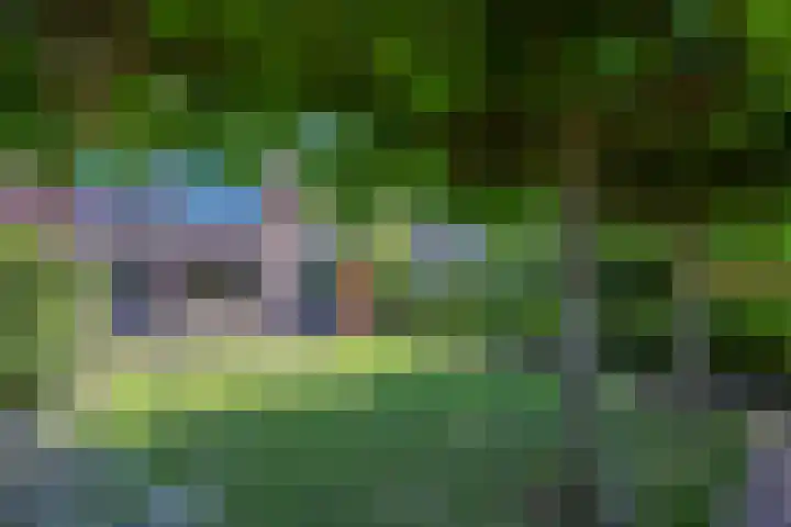 Krachtveld 21 Almere thumbnail 37