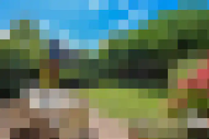 Krachtveld 21 Almere thumbnail 38