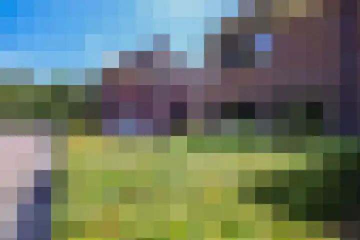 Krachtveld 21 Almere thumbnail 42